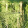 DSCN3903
