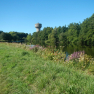 DSCN3912