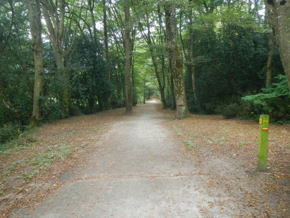 DSCN4784