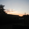 DSCN4829