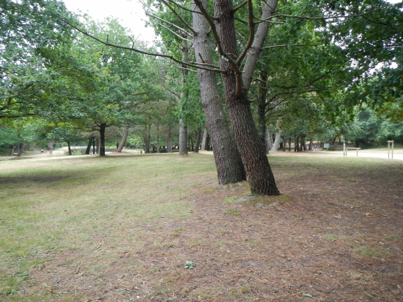 DSCN4155