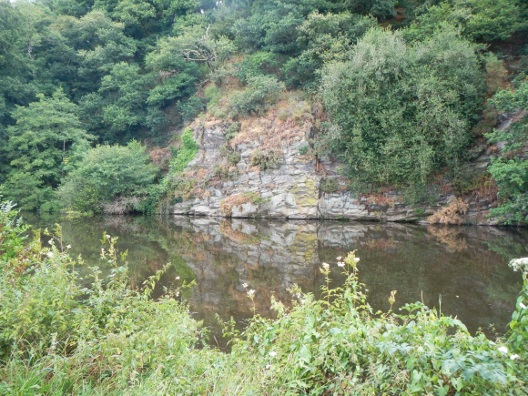 DSCN4237