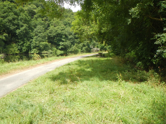 DSCN4243