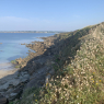 Étel - Névez (GR34 à pied)