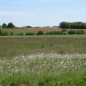 Tours - Dompierre-sur-Mer - Rochefort-en-Terre