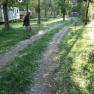Petit tour dans le camping