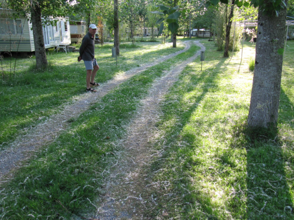 Petit tour dans le camping