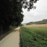 Route verte de St Loup