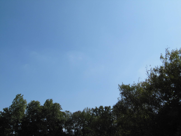 Il fait beau!