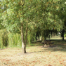 Aire de repos à La Ronde