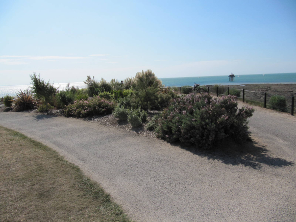img_0740