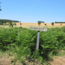 La Menisais