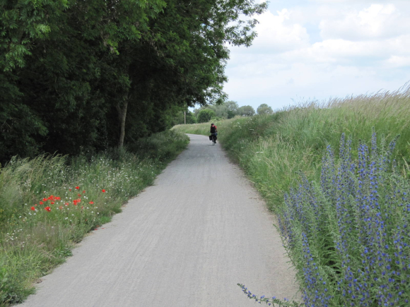 Rives du Couesnon pour aller au Mont