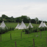 Tipis