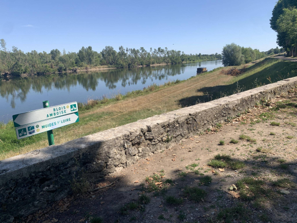 IMG_8817