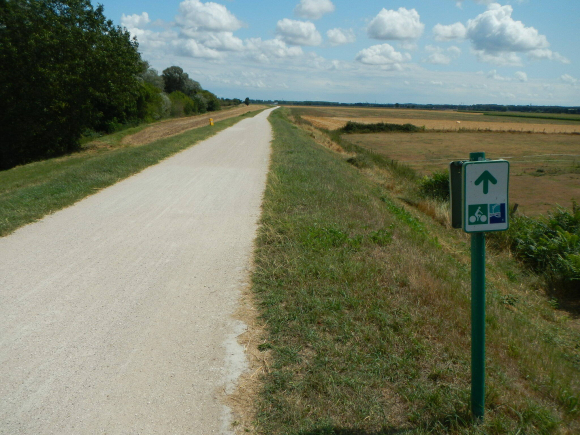 DSCN4912