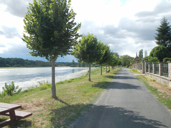 DSCN4926