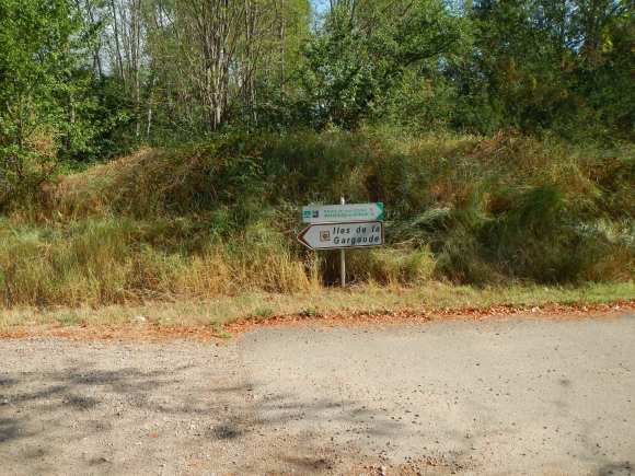 DSCN4949