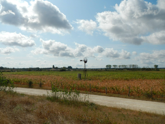 DSCN4950