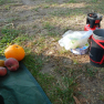 DSCN4966