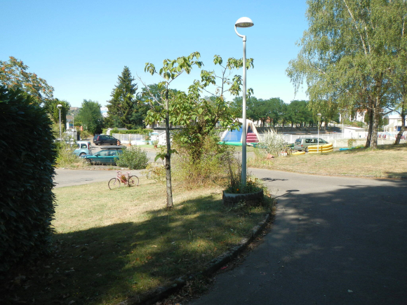 DSCN5007