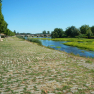 DSCN5008