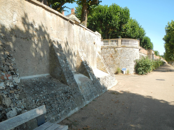 DSCN5010