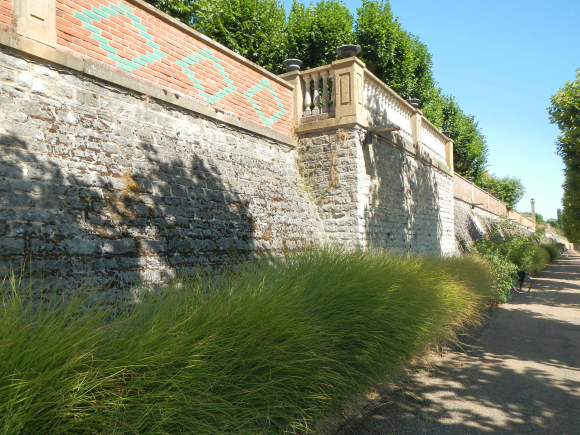 DSCN5011