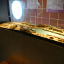 DSCN5025