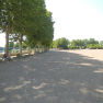 DSCN5048