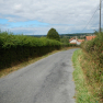 DSCN5081