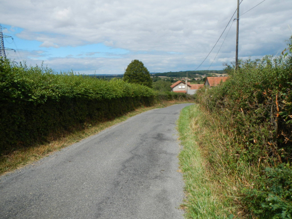 DSCN5081