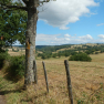 DSCN5088