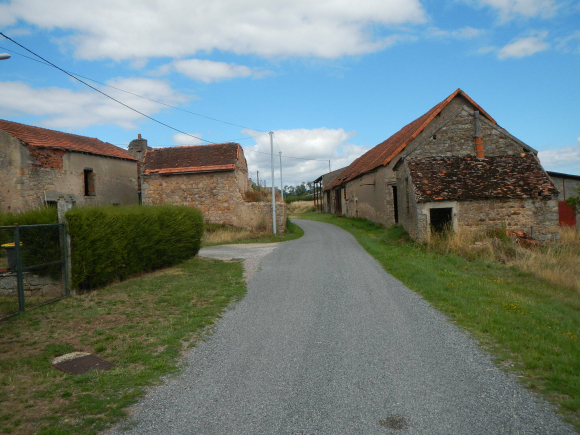 DSCN5091