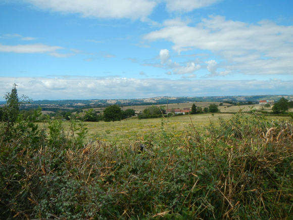 DSCN5092