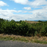 DSCN5094