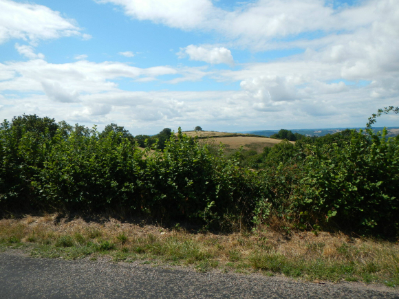 DSCN5094