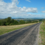 DSCN5095