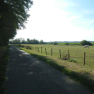 DSCN5113