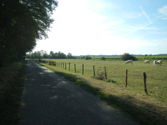 DSCN5113