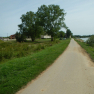 DSCN5123