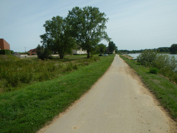 DSCN5123