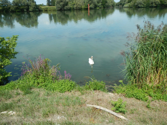 DSCN5138