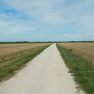 DSCN5141