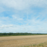 DSCN5142
