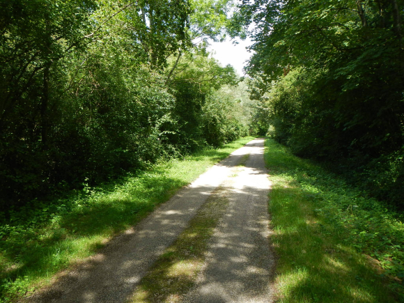 DSCN5149