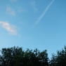DSCN2214