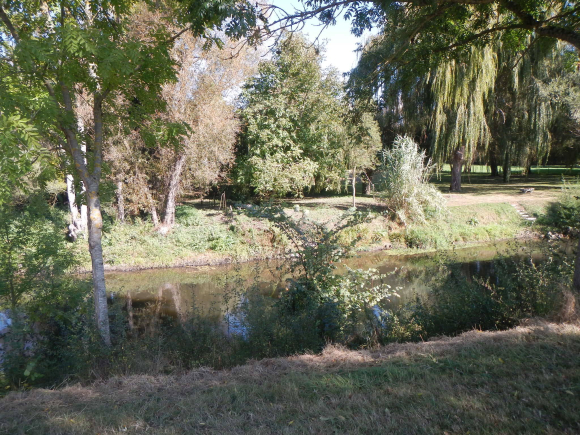 DSCN3095