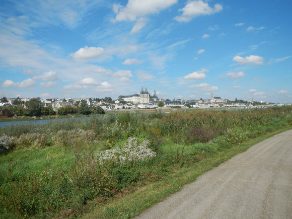 DSCN3106