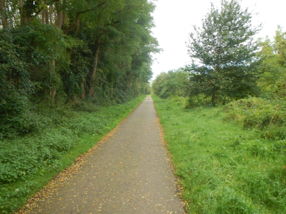 DSCN3130